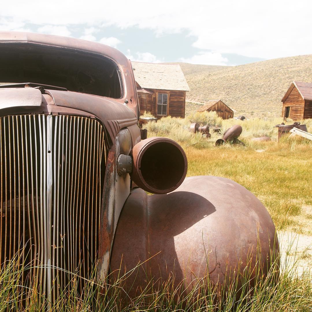 . There should be a special instagram filter for Bodie.  Reminds me of