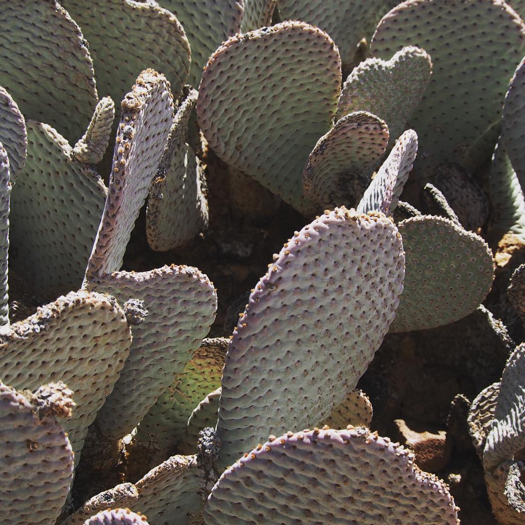 similar to but much more refined